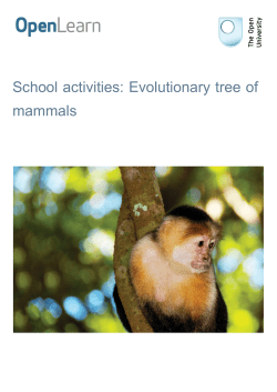 School activities: Evolutionary tree of mammals