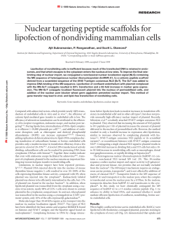 Nuclear targeting peptide scaffolds for lipofection of nondividing