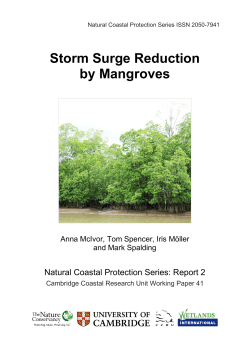 Storm Surge Reduction by Mangroves