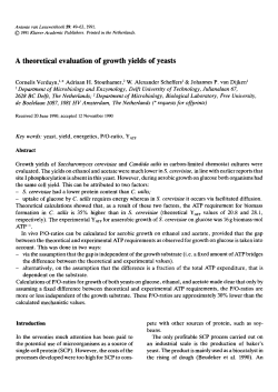 A theoretical evaluation of growth yields of yeasts