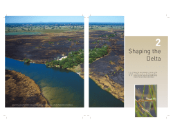 Shaping the Delta