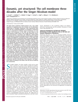 The cell membrane three decades after the Singer&ndash;Nicolson model