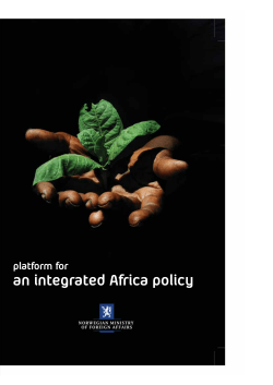 Platform for an Integrated Africa Policy
