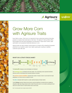 Grow More Corn with Agrisure Traits