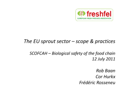 The EU sprout sector