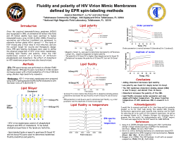 Fluidity and polarity of HIV Virion Mimic Membranes defined by EPR