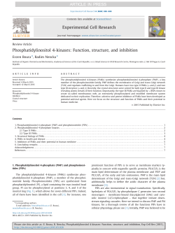 Phosphatidylinositol 4-kinases_ Function, structure, and inhibition