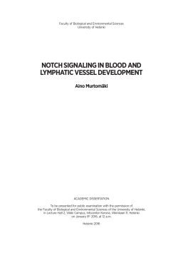 notch signaling in blood and lymphatic vessel development