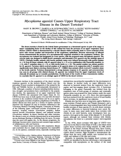 Mycoplasma agassizii Causes Upper Respiratory Tract Disease in