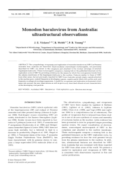 Full text in pdf format