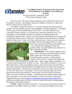 Late Blight Found in Wisconsin - For Your Information