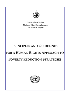 principles and guidelines for a human rights approach to