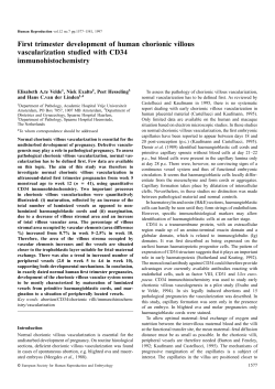 First trimester development of human chorionic villous