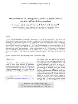 Determination of vitellogenin kinetics in male fathead minnows