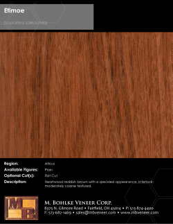 Etimoe - M. Bohlke Veneer