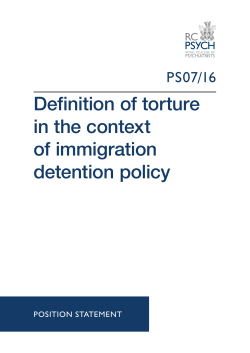 Definition of torture in the context of immigration detention policy