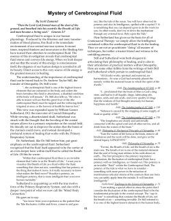 Mystery of Cerebrospinal Fluid - Colorado School of Energy Studies
