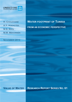 - Water Footprint Network