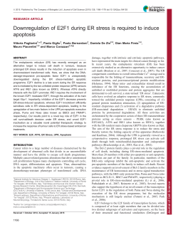 Downregulation of E2F1 during ER stress is required to induce