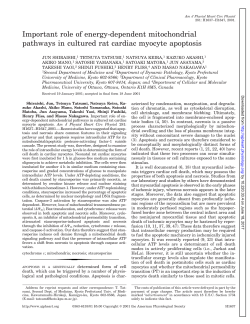 Important role of energy-dependent mitochondrial - AJP