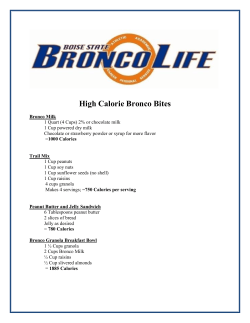High Calorie Bronco Bites