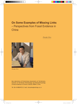 On Some Examples of Missing Links