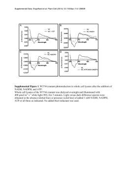 NADH, NADPH, and ATP. Whole cell lysates of the W374A mutant