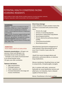 Hoarding - Fitchburg, MA