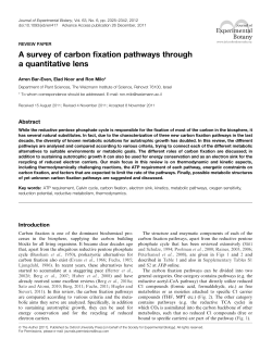 A survey of carbon fixation pathways through a
