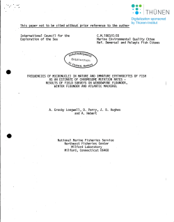 This paper not to be cited without prior reference to the author