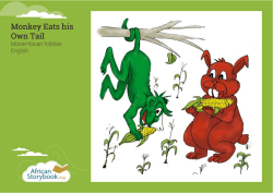 Monkey Eats his Own Tail