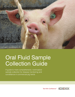 PRRS Oral Fluids Sample Collection Guide