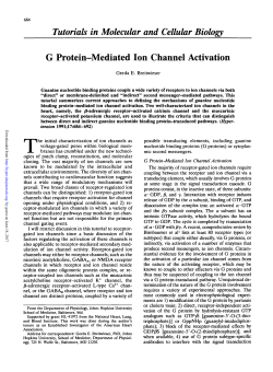 G Protein-Mediated Ion Channel Activation