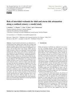 Role of intertidal wetlands for tidal and storm tide