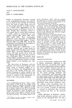 Dominance in the Florida Scrub Jay