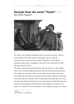 Excerpt from the novel &ldquo;Tsotsi&rdquo; 4,2 NS