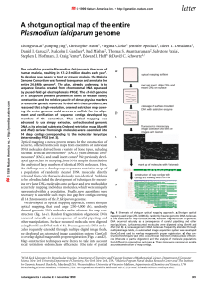 letter - NYU Computer Science