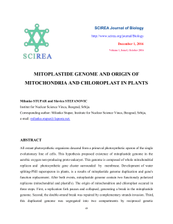 autogenous origin of plastids - Science Research Association