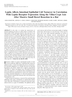Leptin Affects Intestinal Epithelial Cell Turnover in