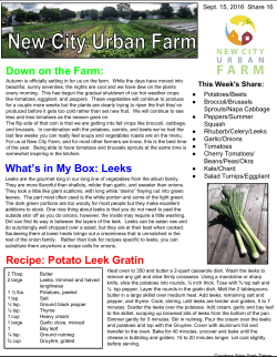 Down on the Farm: What`s in My Box: Leeks Recipe: Potato Leek