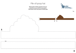 Pile-of-poop hat - Toilet Twinning
