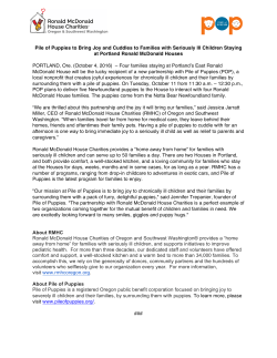 Pile of Puppies to Bring Joy and Cuddles to Families with Seriously