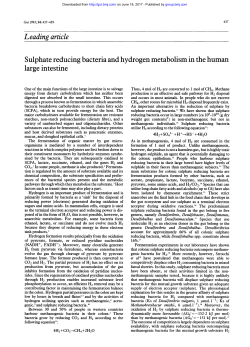Sulphate reducing bacteria and hydrogen metabolism in the human