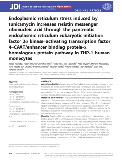 Endoplasmic reticulum stress induced by tunicamycin increases