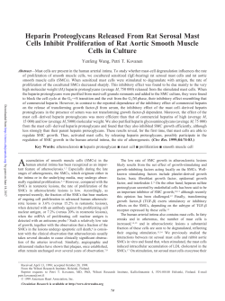 Heparin Proteoglycans Released From Rat Serosal Mast Cells