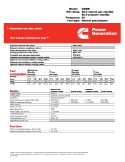 Model: GGMB KW rating: 25.0 natural gas standby 20.0 propane