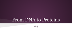 From DNA to Proteins