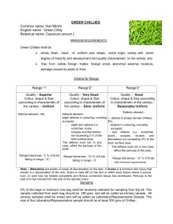 Green Chilly Botanical name