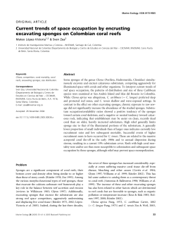 lopez victoria and zea