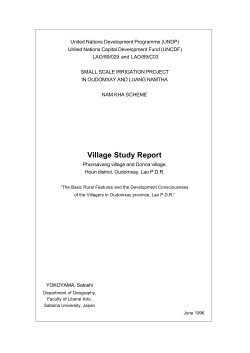 UNDP Village Study Report